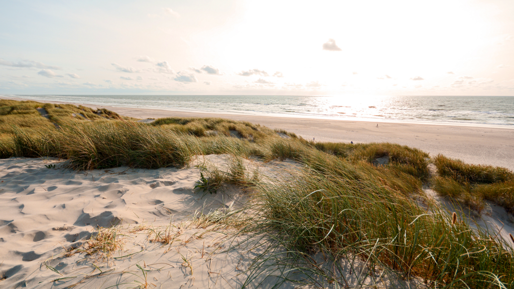 Les plus belles plages à découvrir dans l’Aude, à proximité des Corbières | explorerb explorerb